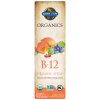 Eco Supplements - Organics B-12 Organic Spray Raspberry 2 fl oz (58ml) Liquid