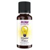 Mental Focus Oil Blend