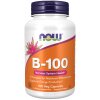 Vitamin B-100 Veg Capsules